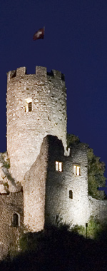 Schloss Neu Falkenstein